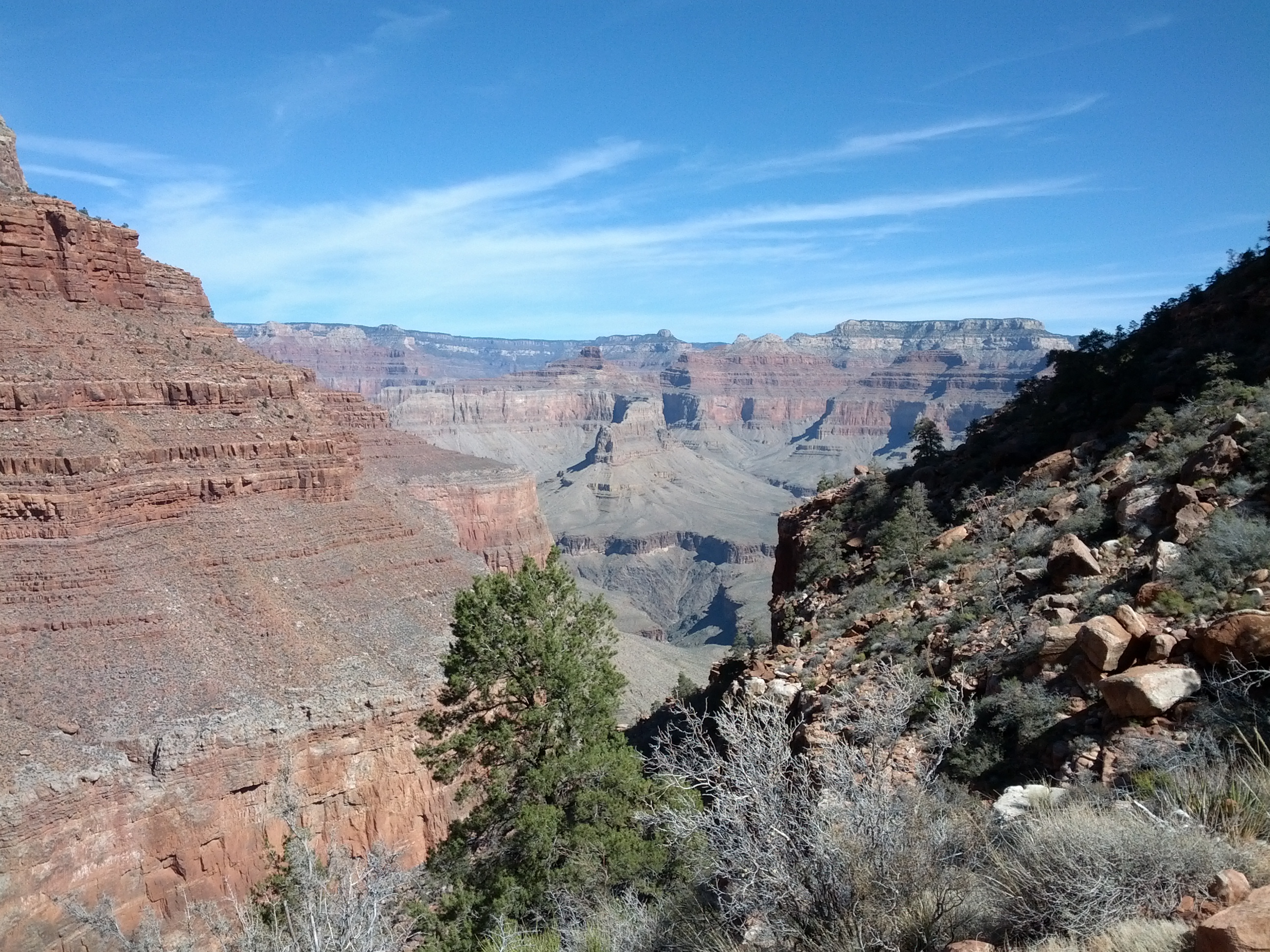 IMG_20130314_105529.jpg